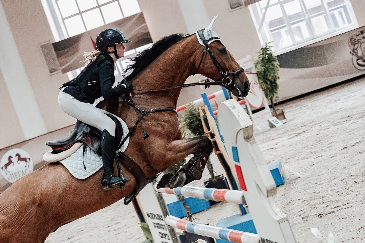 ПЕРВЕНСТВО МОСКВЫ ПО КОНКУРУ в КСК «ВИВАТ, РОССИЯ!». Куракина Дарья • Конный фотограф