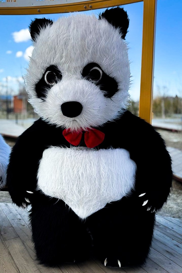 Эксперсс поздравление.ростовые куклы, медведь, панда, горилла. Организатор праздников. Ведущая Марина Гребенникова