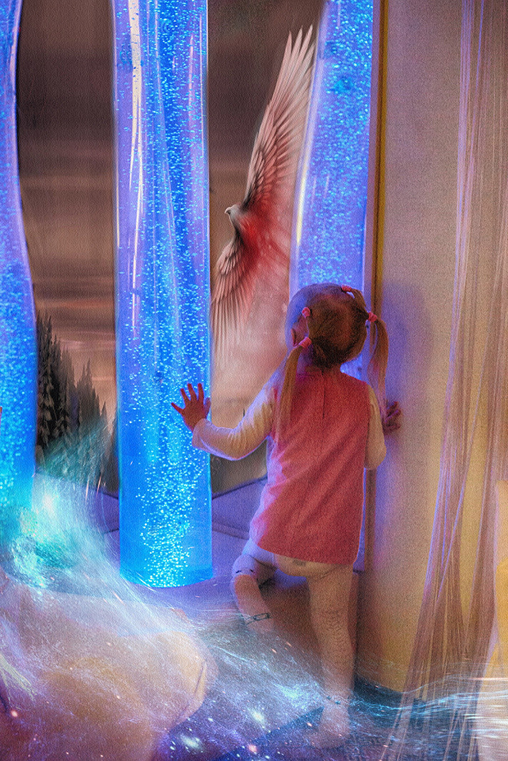 ФотоИллюстрации