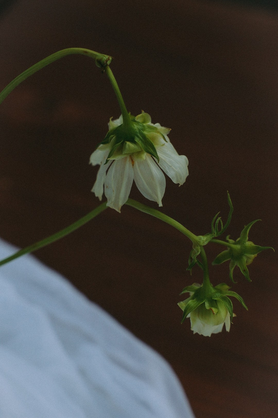 Максим и Лиза. Фотограф Нижний Новгород