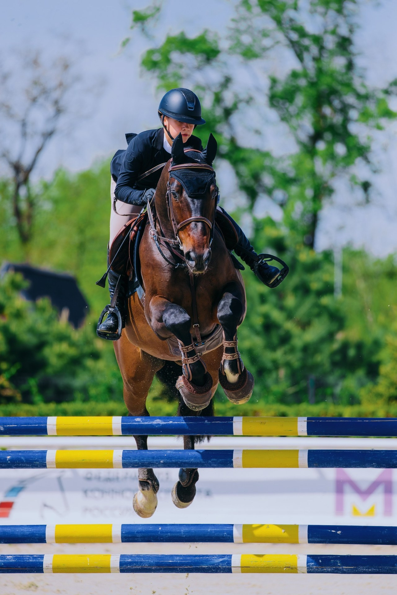 Отзывы. Фотограф-анималист Ксендзова Кристина