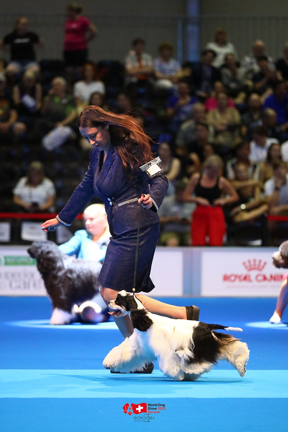 24-27.08.2023 WDS Geneva. Фотограф Дмитрий Бородин