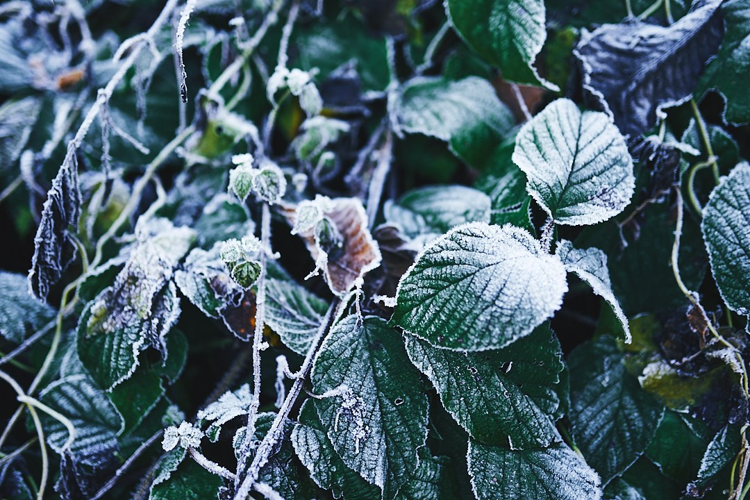 Фотографии с похода на водопад Поликария. Фотограф в Сочи Катя Гончарова