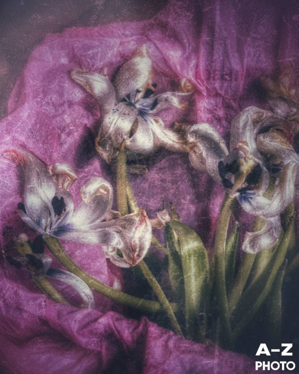 #ФОТОНЕДЕЛИ 23.03.2026. Женский семейный фотограф Тула Москва Захарова Анна