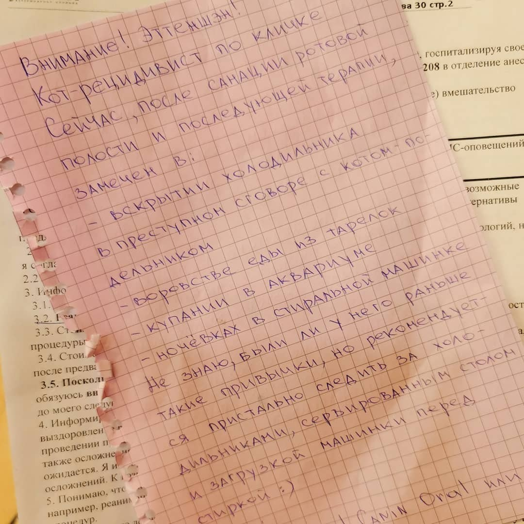 Anka`s Instagram. Заставка