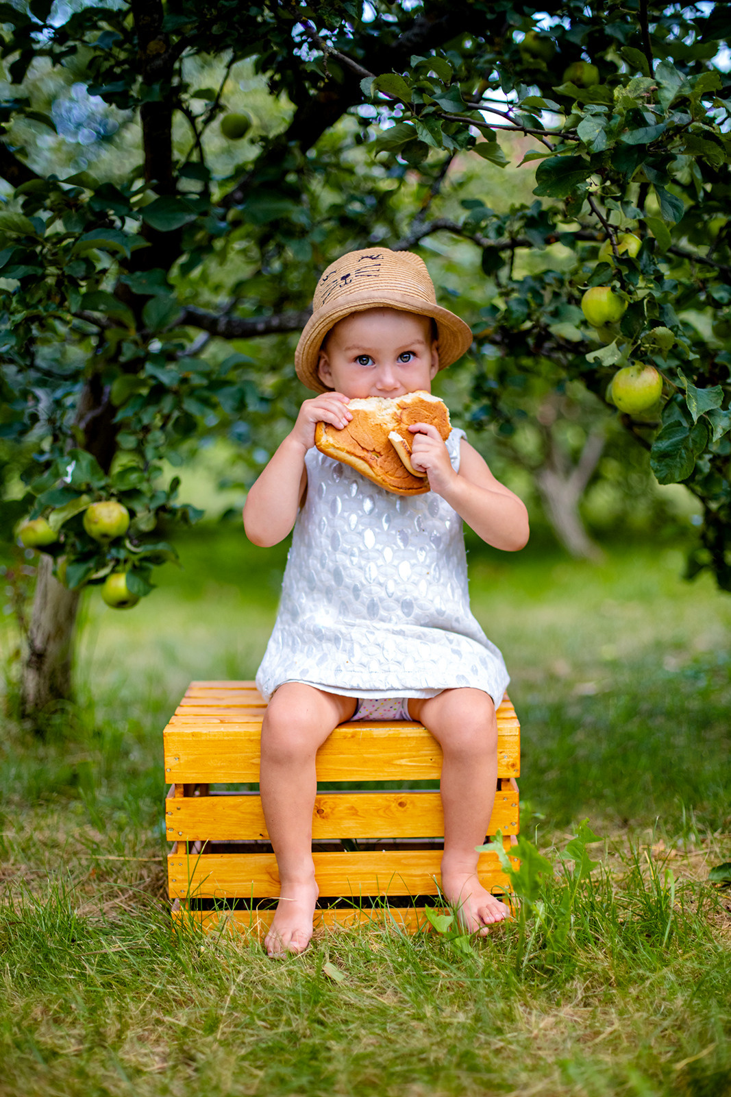 Яблоневый сад. Фотограф Дмитров. Москва