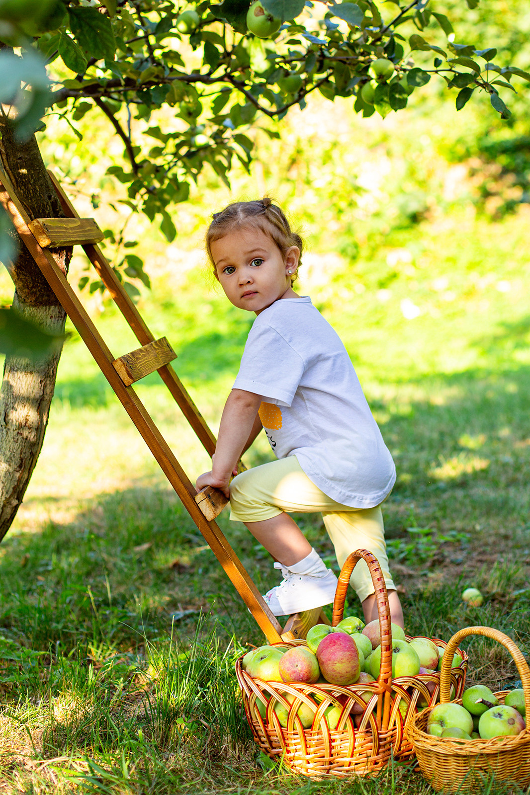 Яблоневый сад. Фотограф Дмитров. Москва