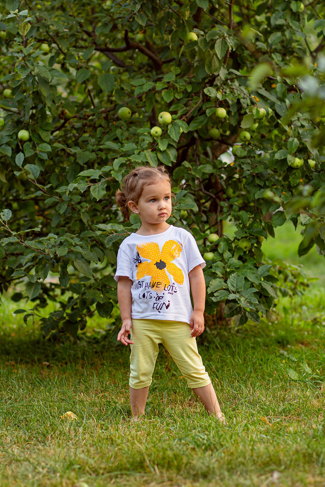 Яблоневый сад. Фотограф Дмитров. Москва