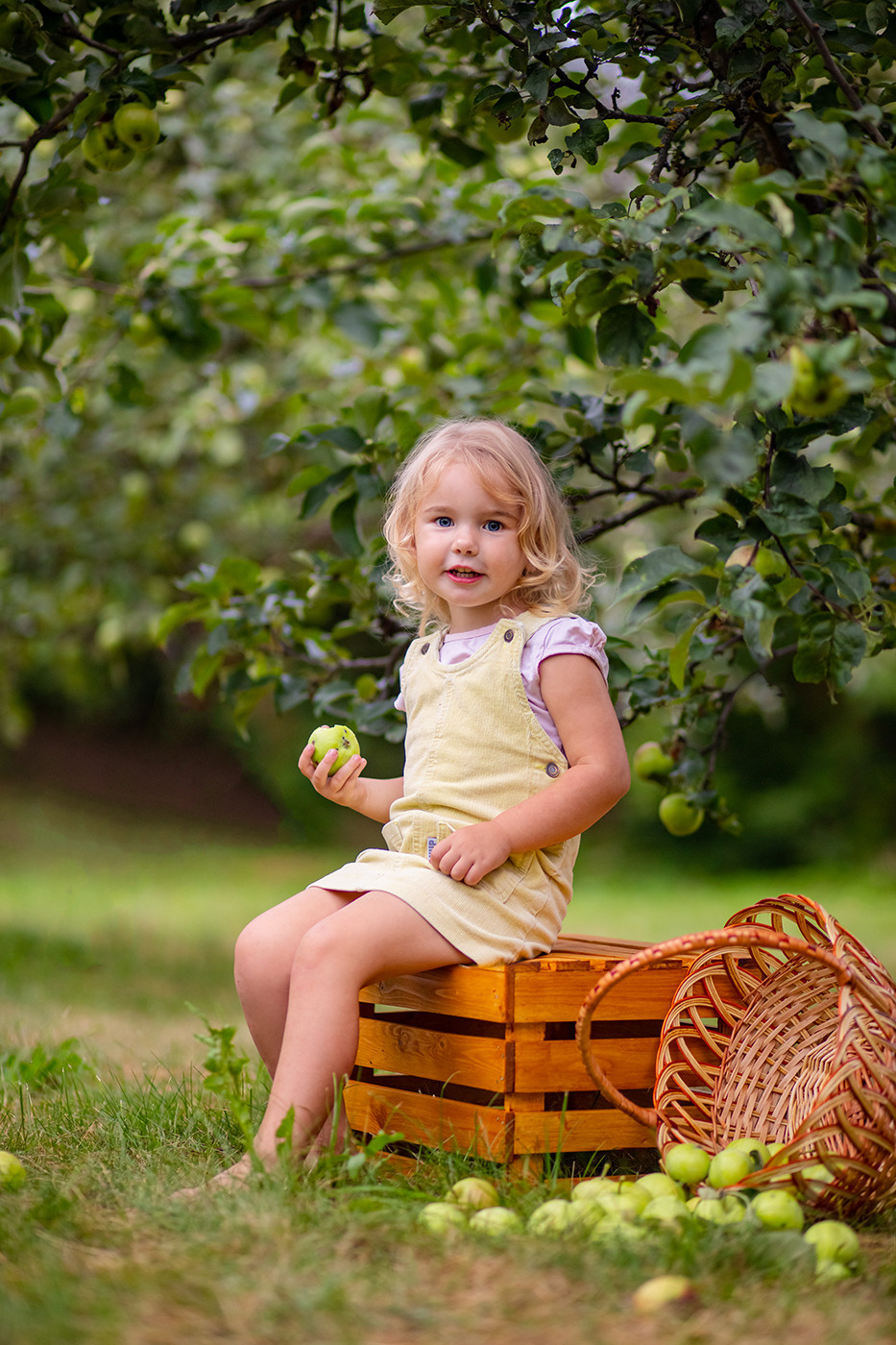 Яблоневый сад. Фотограф Дмитров. Москва