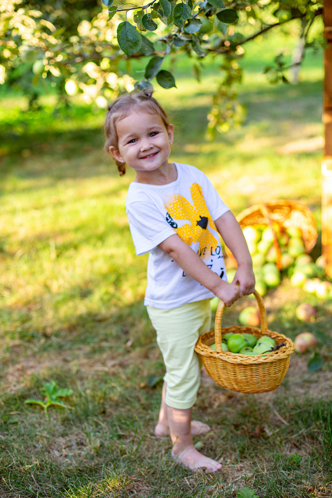 Яблоневый сад. Фотограф Дмитров. Москва