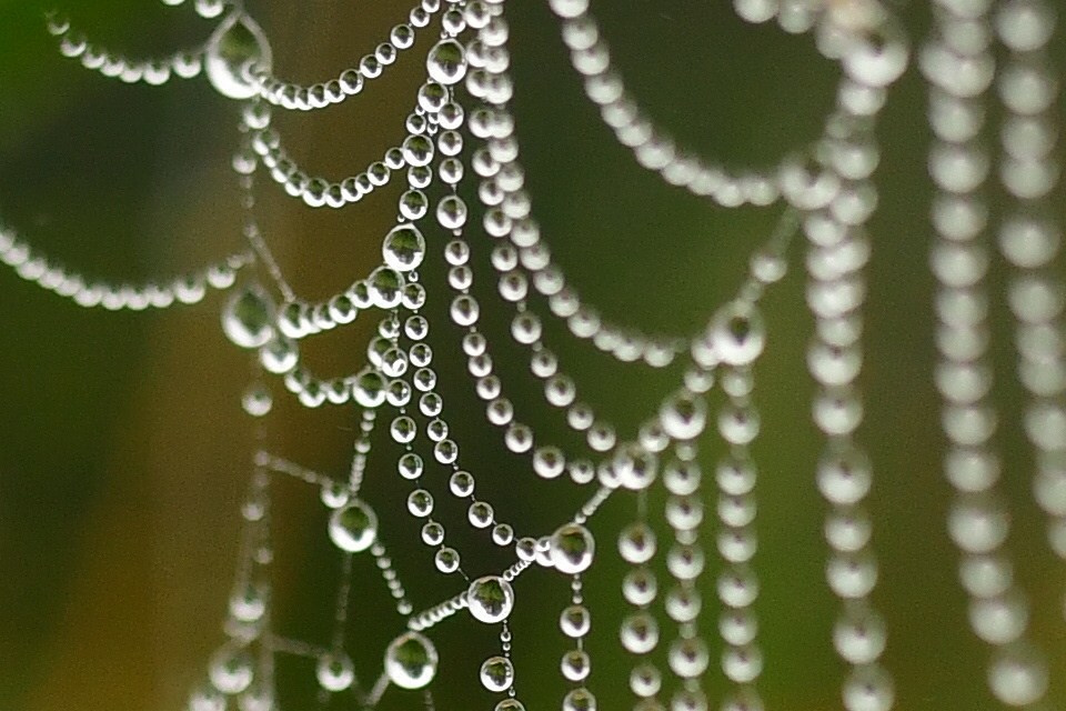 Природа. Фото детских спортивных мероприятий и всякое интересное через объектив