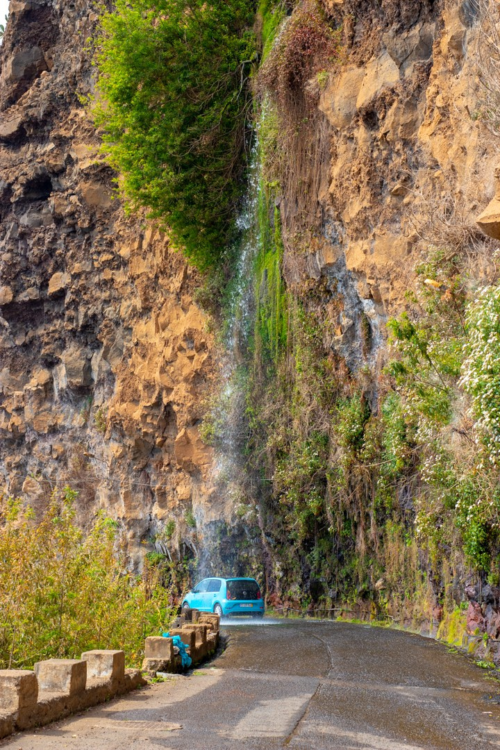 2019 03 Мадейра. Фотографии