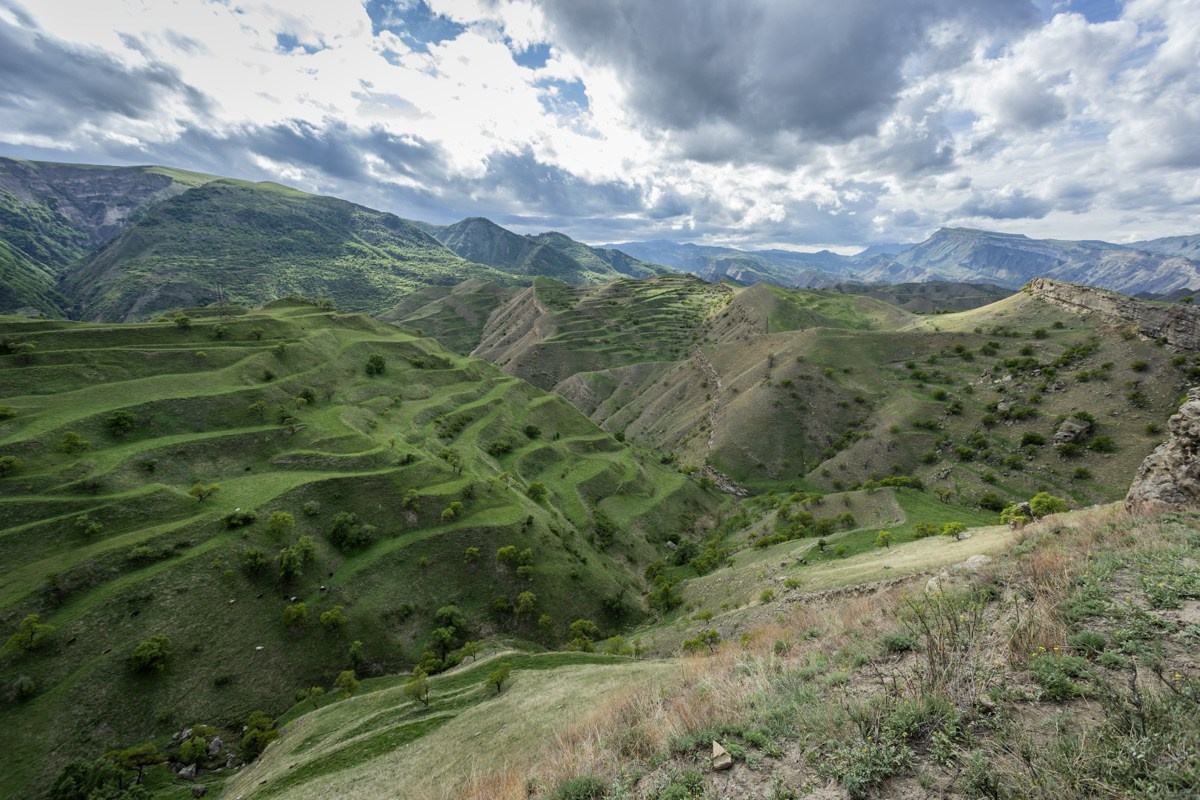 Горы. Photomantis