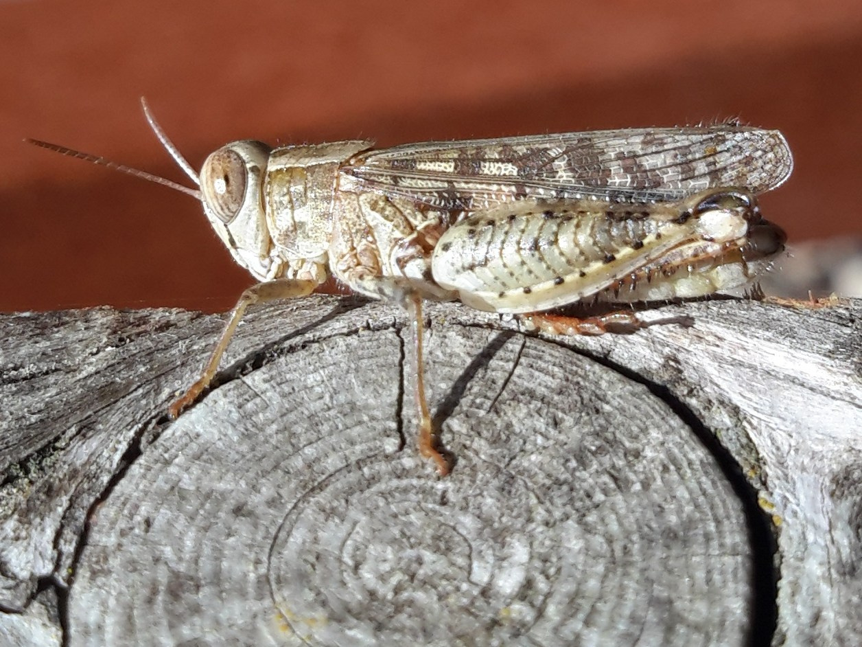 Новороссийск. Фотограф Славянск на Кубани