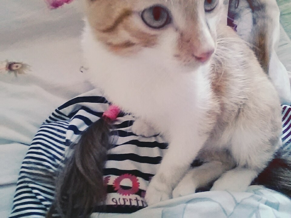 Январь. Семейный, Свадебный фотограф СПБ Питер— Романова Екатерина