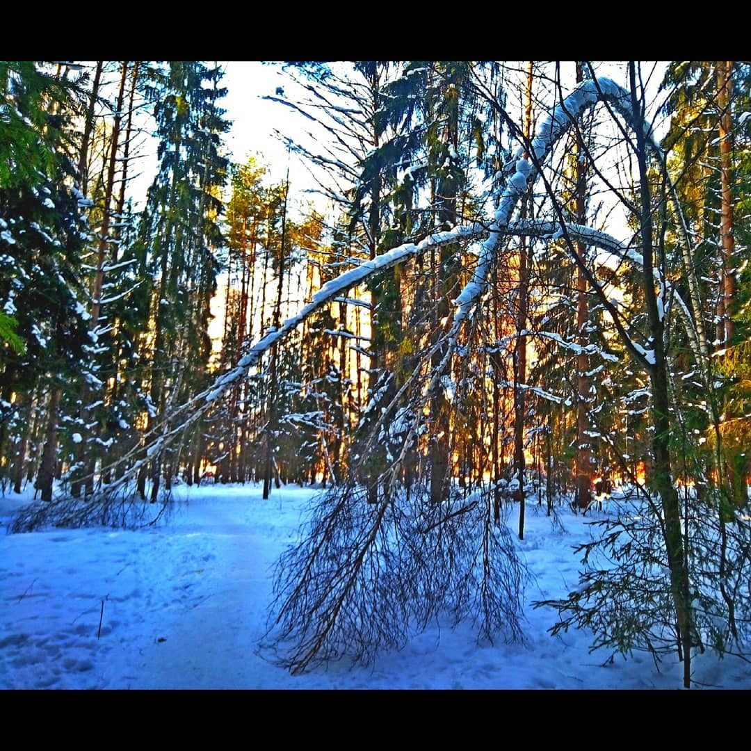 Фотоальбом с разными съёмками