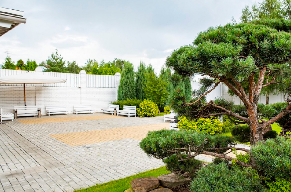 Площадка № 1-8. Свадебный организатор Москва