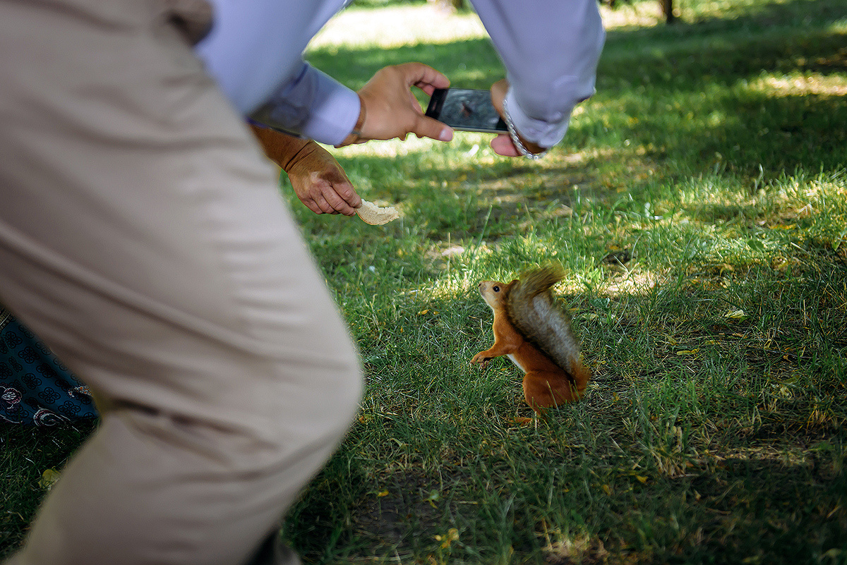 Саша и Катя. Свадебный и семейный фотограф в Новосибирске Александр Счастный