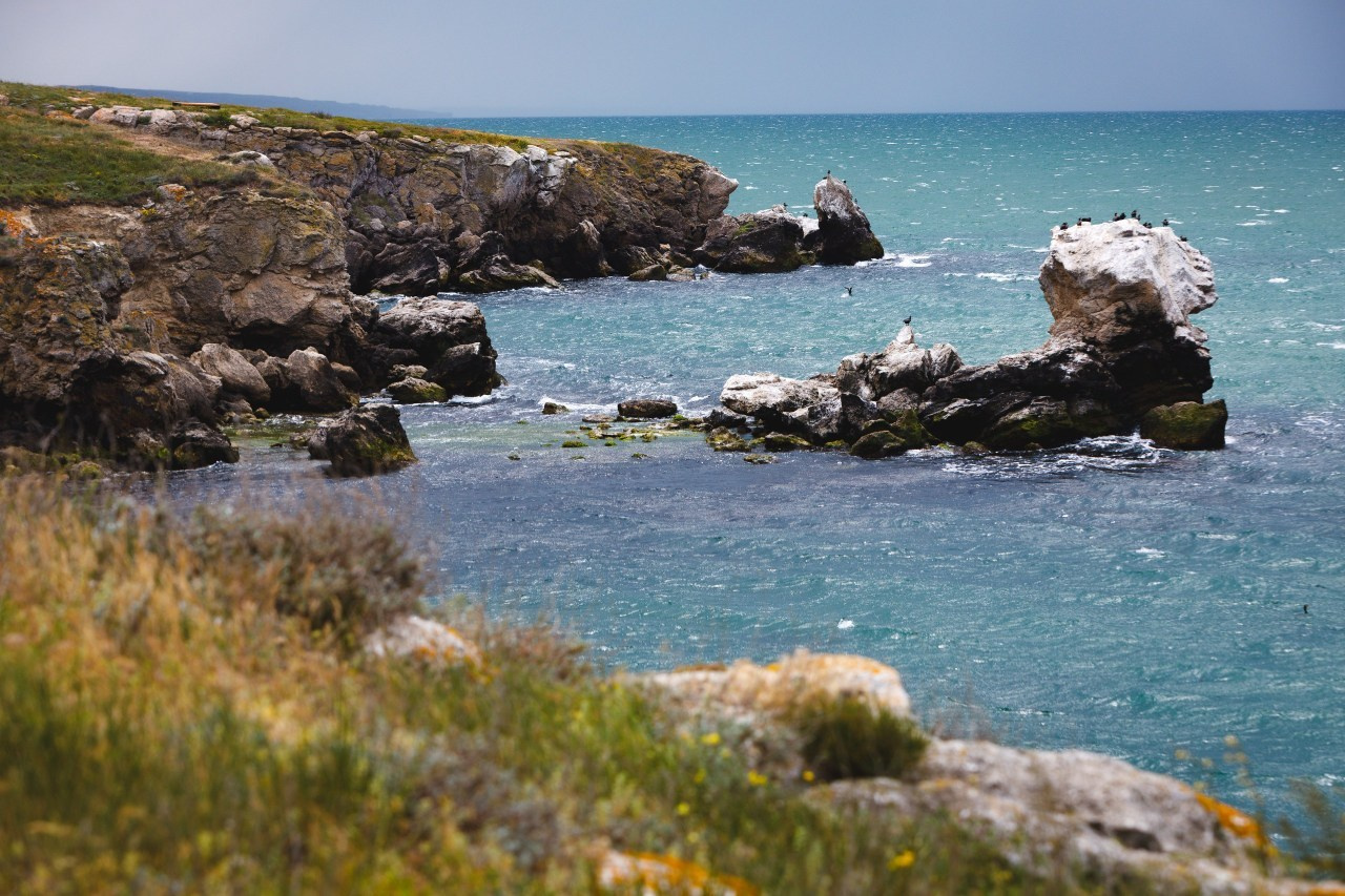 Отзывы. Универсальный фотограф в Крыму