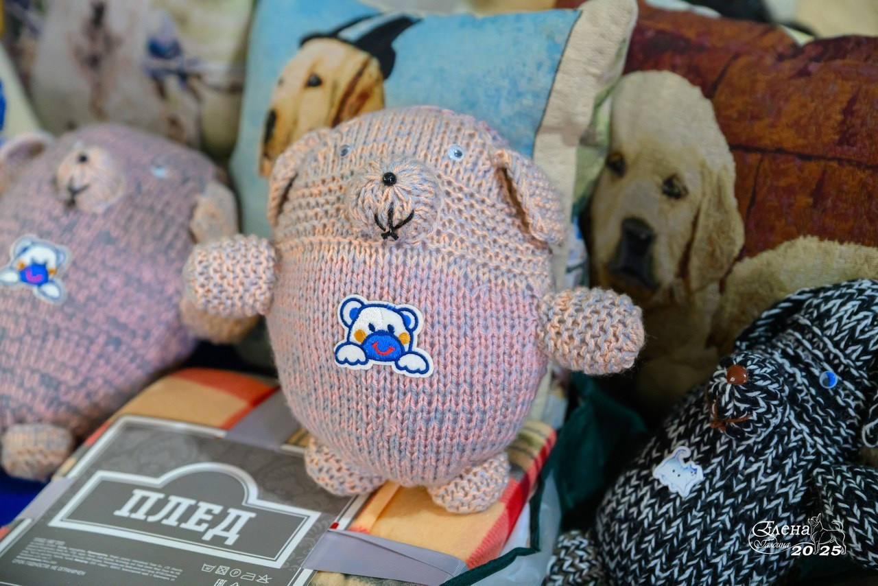 Отзывы. Фотограф анималист Елена Галдина г. Красноярск