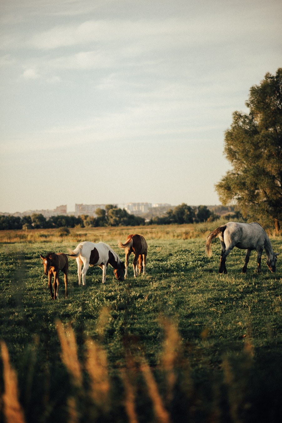 Саша, Настя, Арсений | на природе