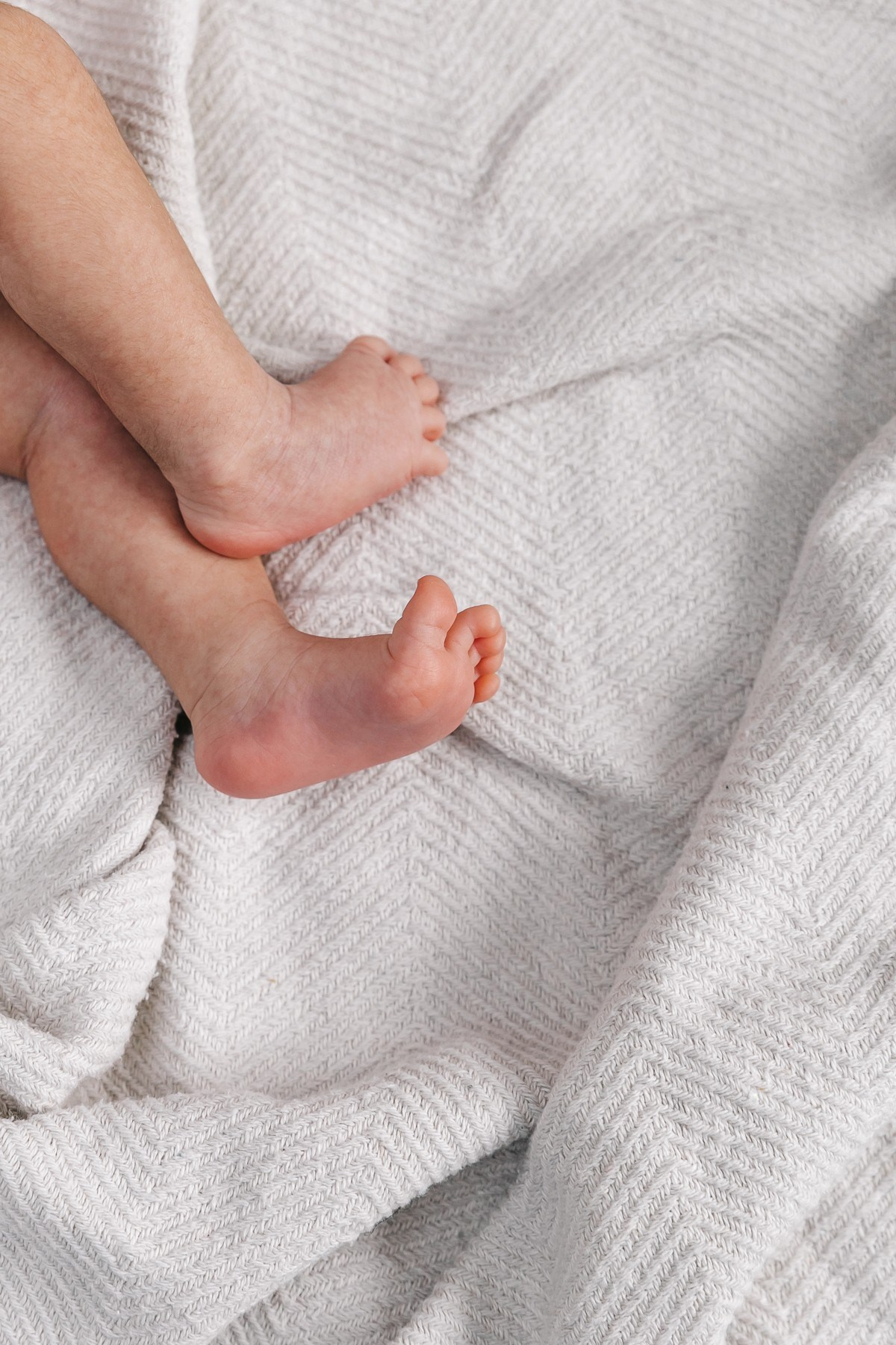 Гамлет, Ирина и Алиса. Свадебный и семейный фотограф в Краснодаре Илонна Ковалева