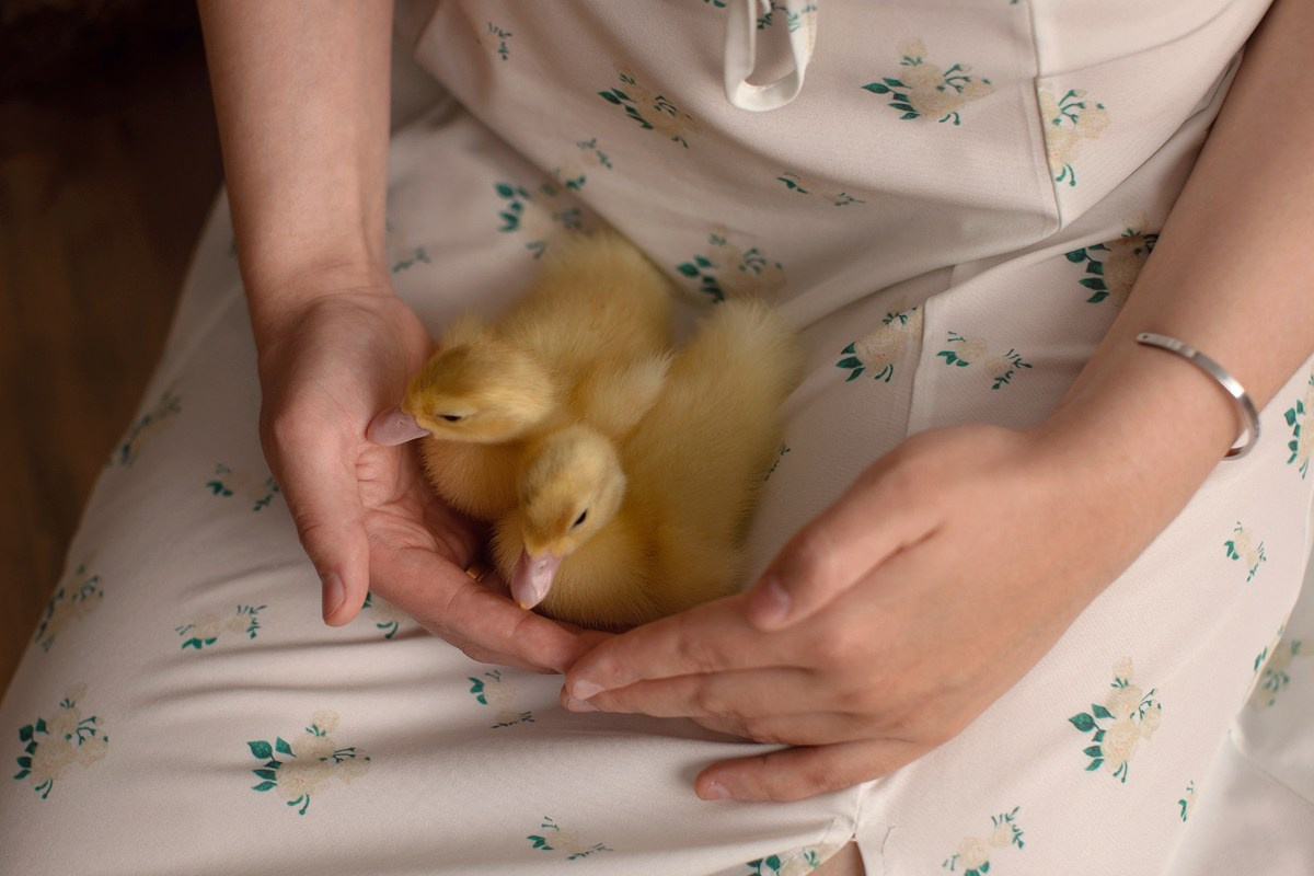 Тематические съемки. Фотограф новорожденных