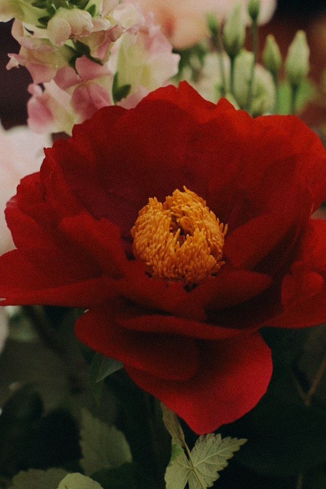 Марк и Юля. Фотограф Нижний Новгород