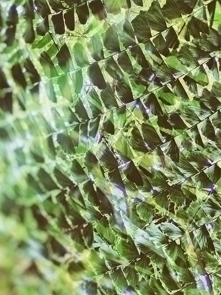 Купить фотокартину на холсте. Fotógrafa impresionista Rada Buenos Aires