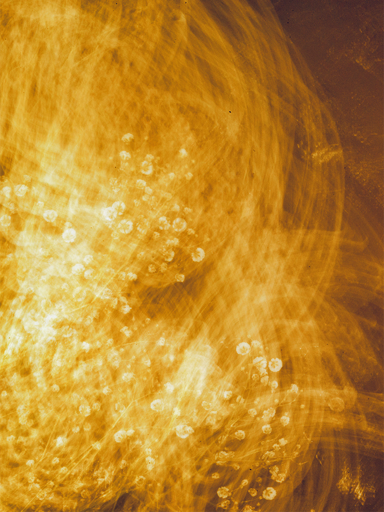 Купить фотокартину на холсте. Fotógrafa impresionista Rada Buenos Aires