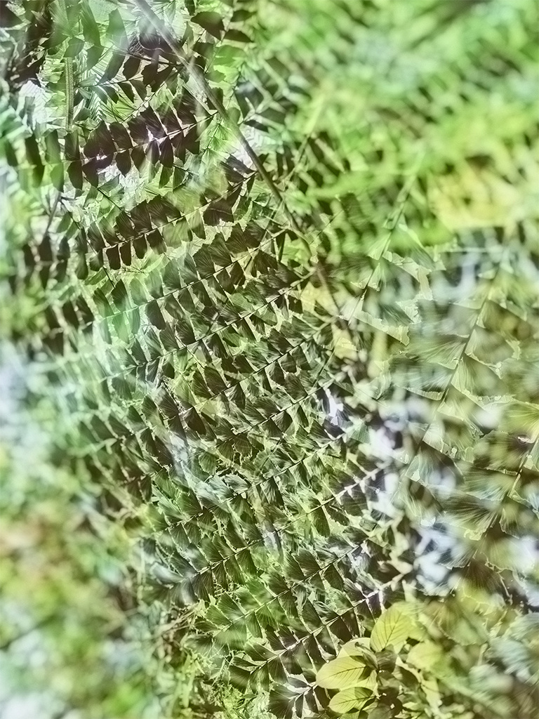 Купить фотокартину на холсте. Fotógrafa impresionista Rada Buenos Aires