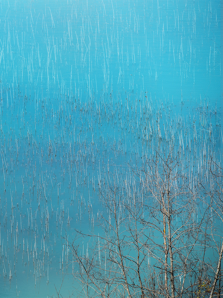 Купить фотокартину на холсте. Fotógrafa impresionista Rada Buenos Aires