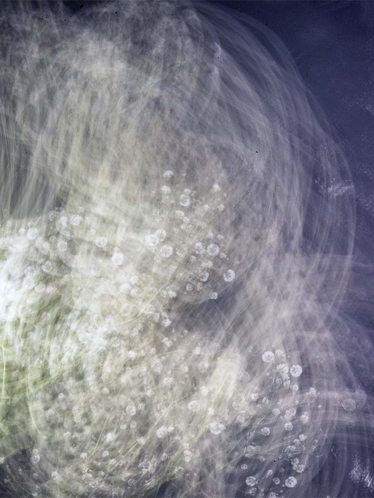 Купить фотокартину на холсте. Fotógrafa impresionista Rada Buenos Aires