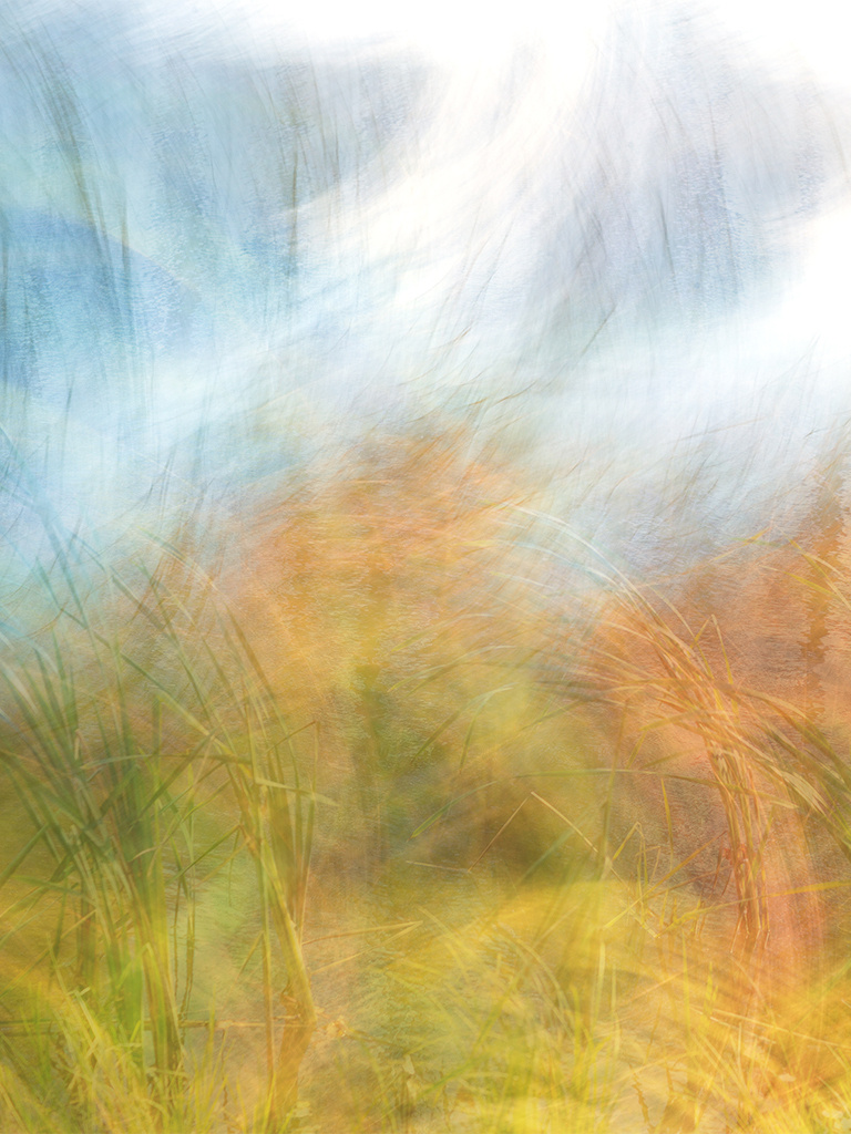 Купить фотокартину на холсте. Fotógrafa impresionista Rada Buenos Aires