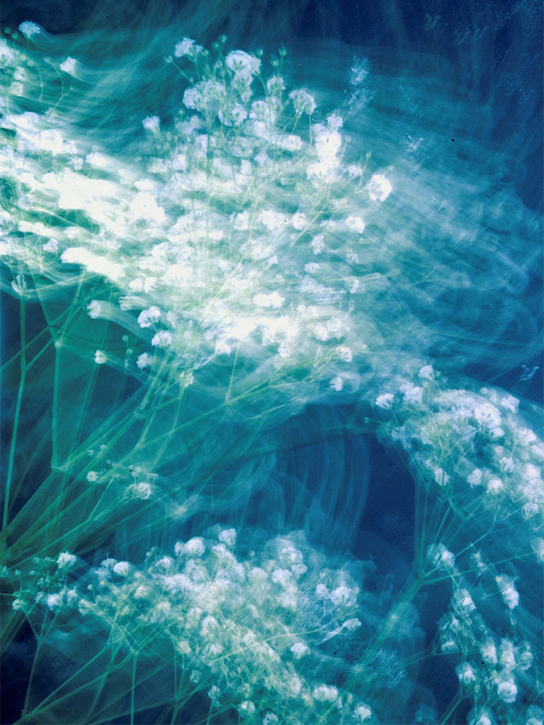 Купить фотокартину на холсте. Fotógrafa impresionista Rada Buenos Aires