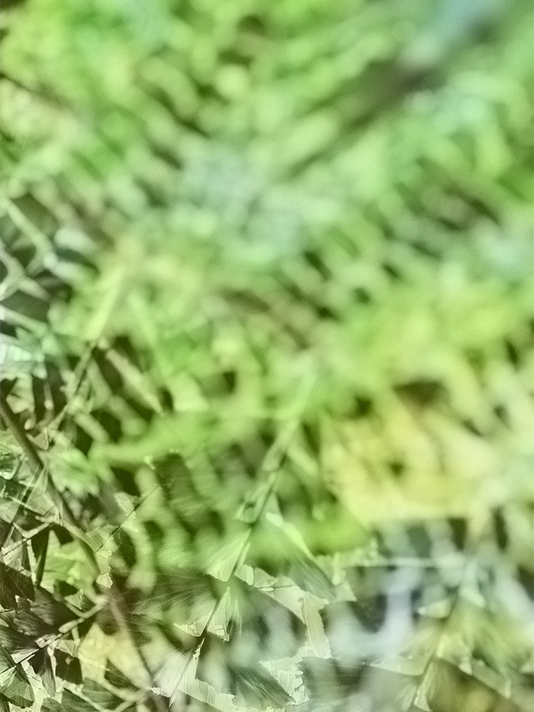 Купить фотокартину на холсте. Fotógrafa impresionista Rada Buenos Aires