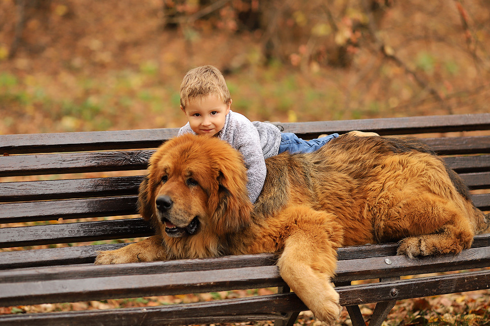 ФОТОСЕССИЯ И ФОТОДЕНЬ С ЖИВОТНЫМИ. Выпускные альбомы, Татьяна Дёмина, Школьный фотограф, Москва