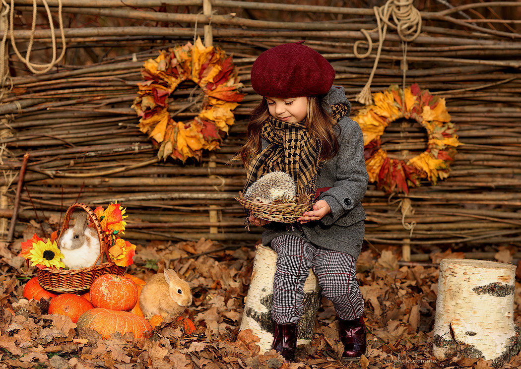 ФОТОСЕССИЯ И ФОТОДЕНЬ С ЖИВОТНЫМИ. Выпускные альбомы, Татьяна Дёмина, Школьный фотограф, Москва