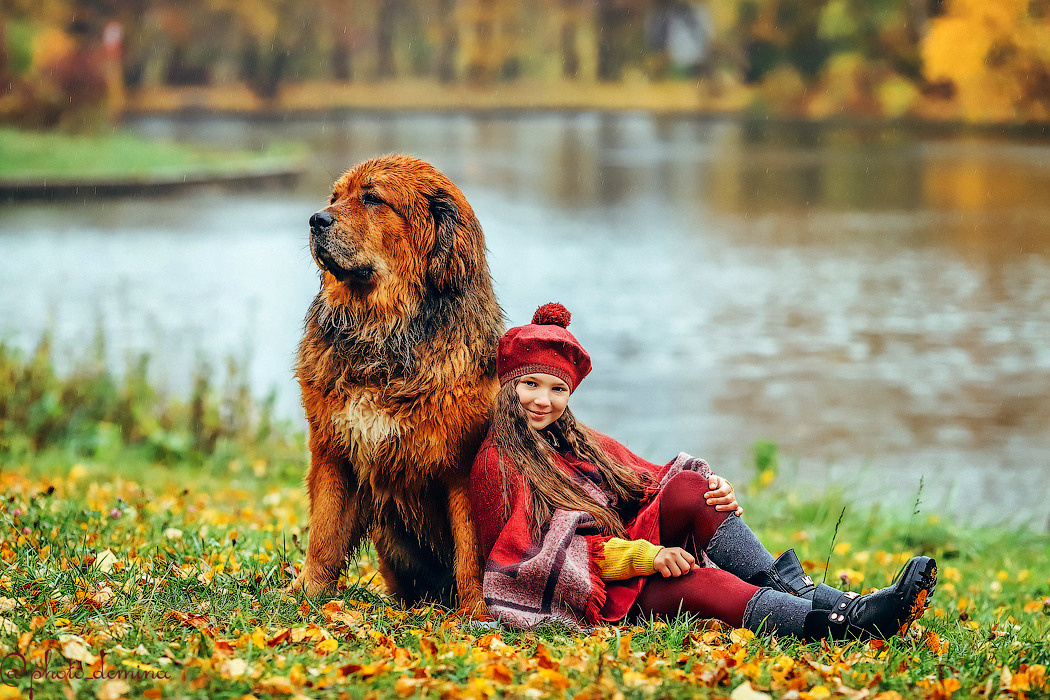 ФОТОСЕССИЯ И ФОТОДЕНЬ С ЖИВОТНЫМИ. Выпускные альбомы, Татьяна Дёмина, Школьный фотограф, Москва