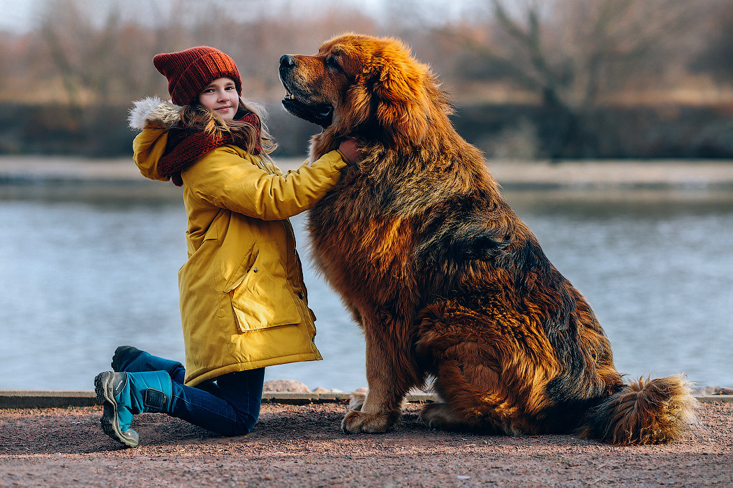 ФОТОСЕССИЯ И ФОТОДЕНЬ С ЖИВОТНЫМИ. Выпускные альбомы, Татьяна Дёмина, Школьный фотограф, Москва