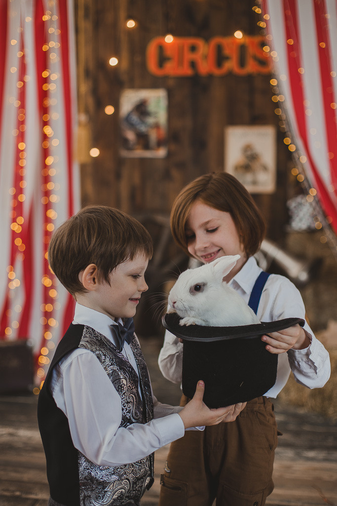 Цирк. Семейный фотограф Николаева Ольга
