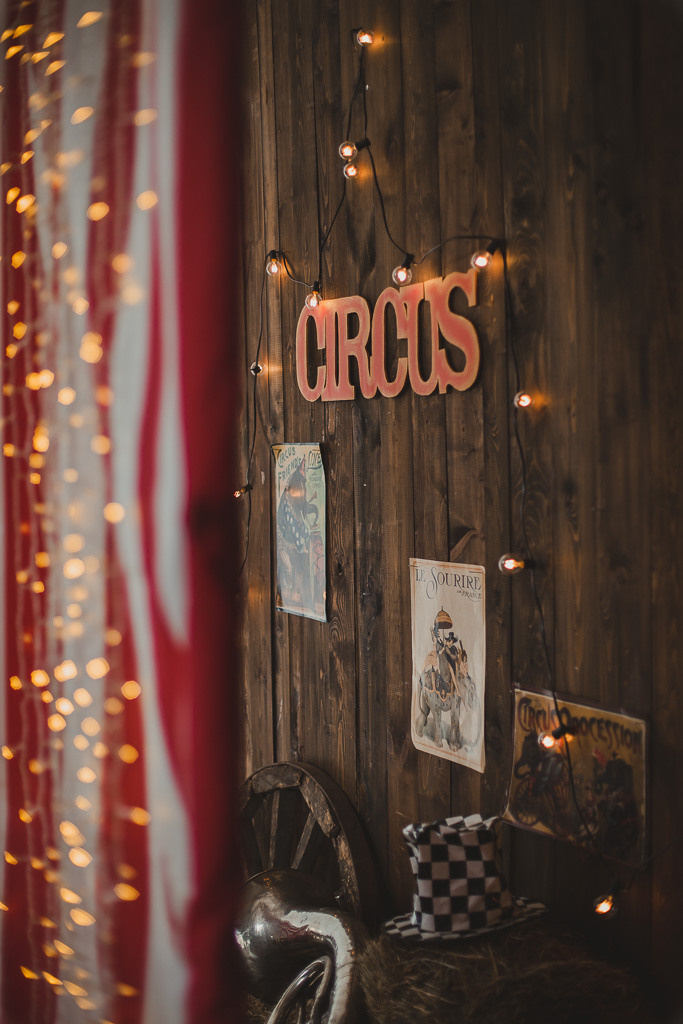 Цирк. Семейный фотограф Николаева Ольга