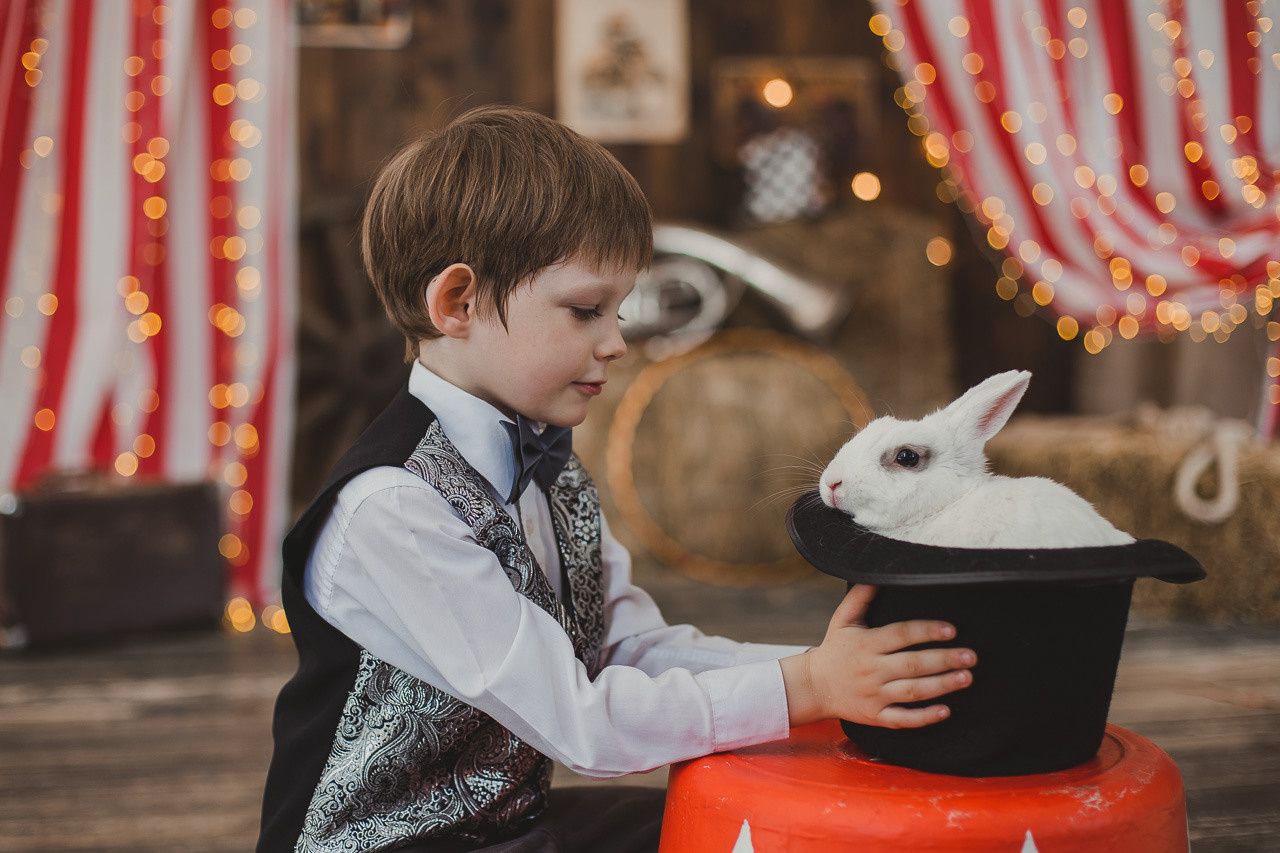 Цирк. Семейный фотограф Николаева Ольга