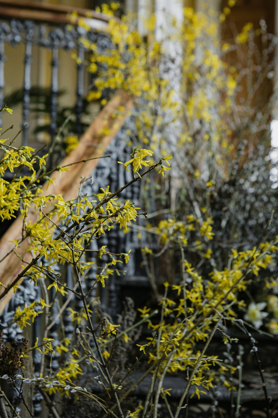 Библиотека им. Пушкина. Оформление свадеб, декор свадеб Вера Маркова, Москва