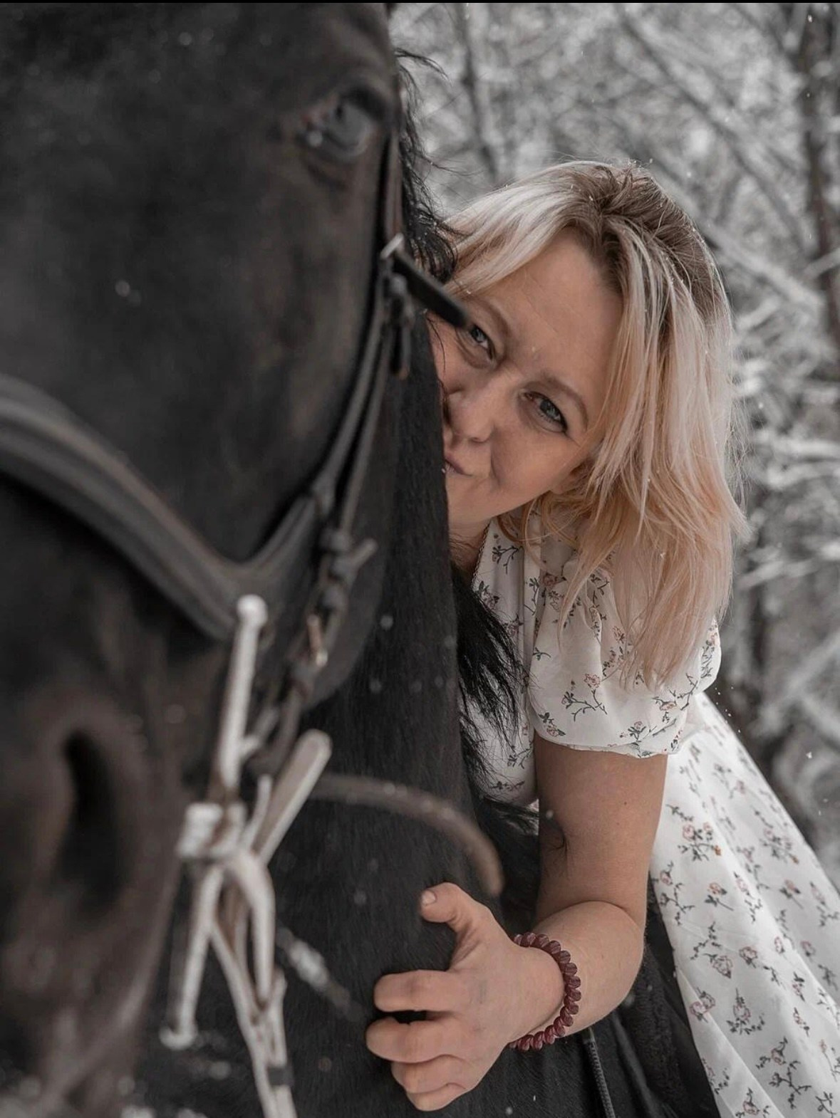 Лошадки зима. Фотограф Зинаида Евдокимова