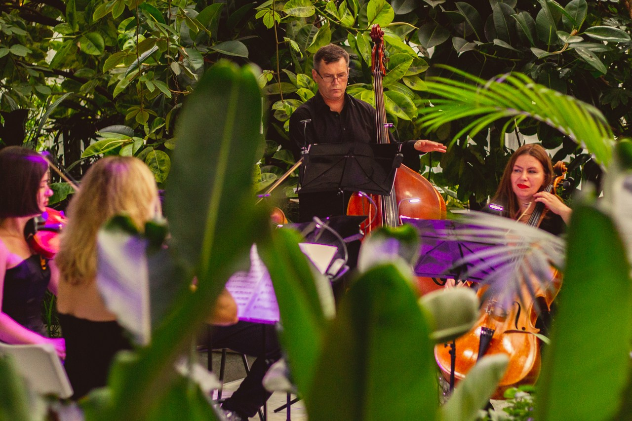 Petro Art — квартет в Таврическом саду (Рок Хиты). EvgenyCraft