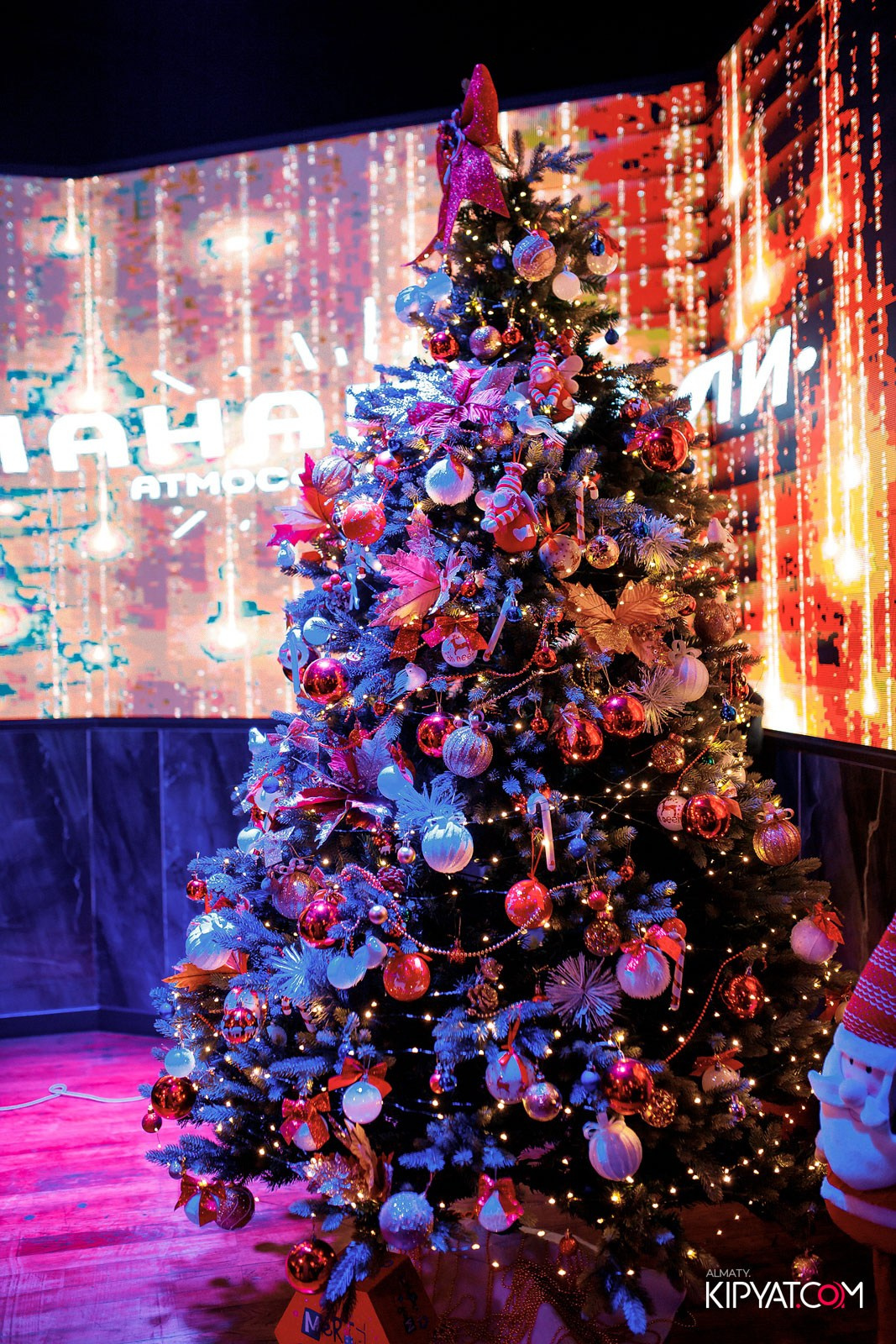 БАР ПАНАЕХАЛИ НА ТОЛЕ БИ. КИПЯТКОМ АЛМАТЫ!