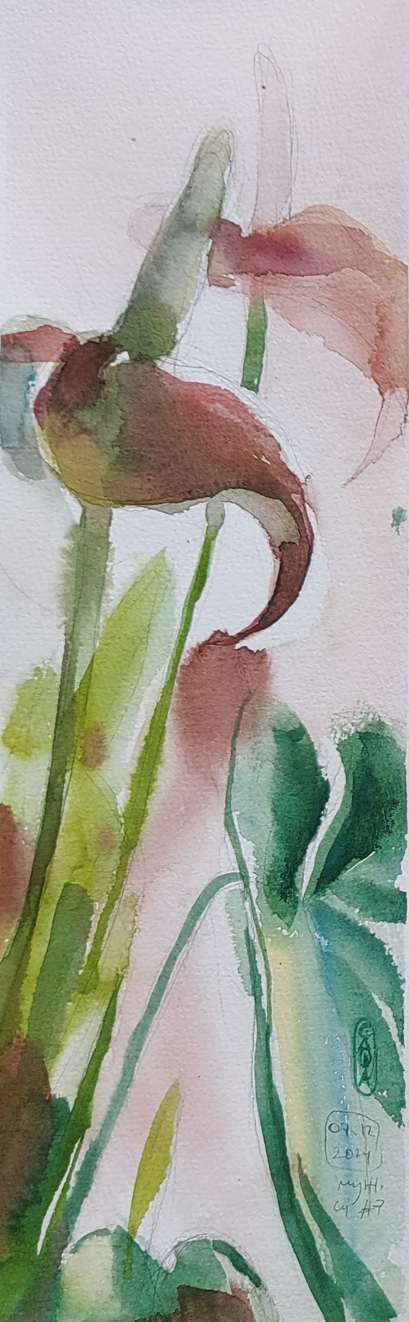 Flowers. Alexander Manaenkov | Watercolor Artist from Siberia