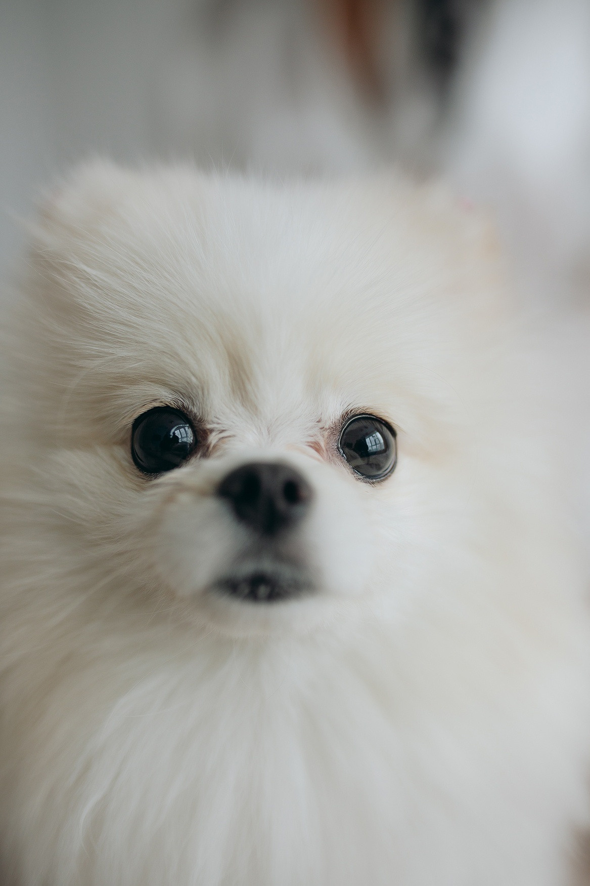 К+Л. Фотографии о любви