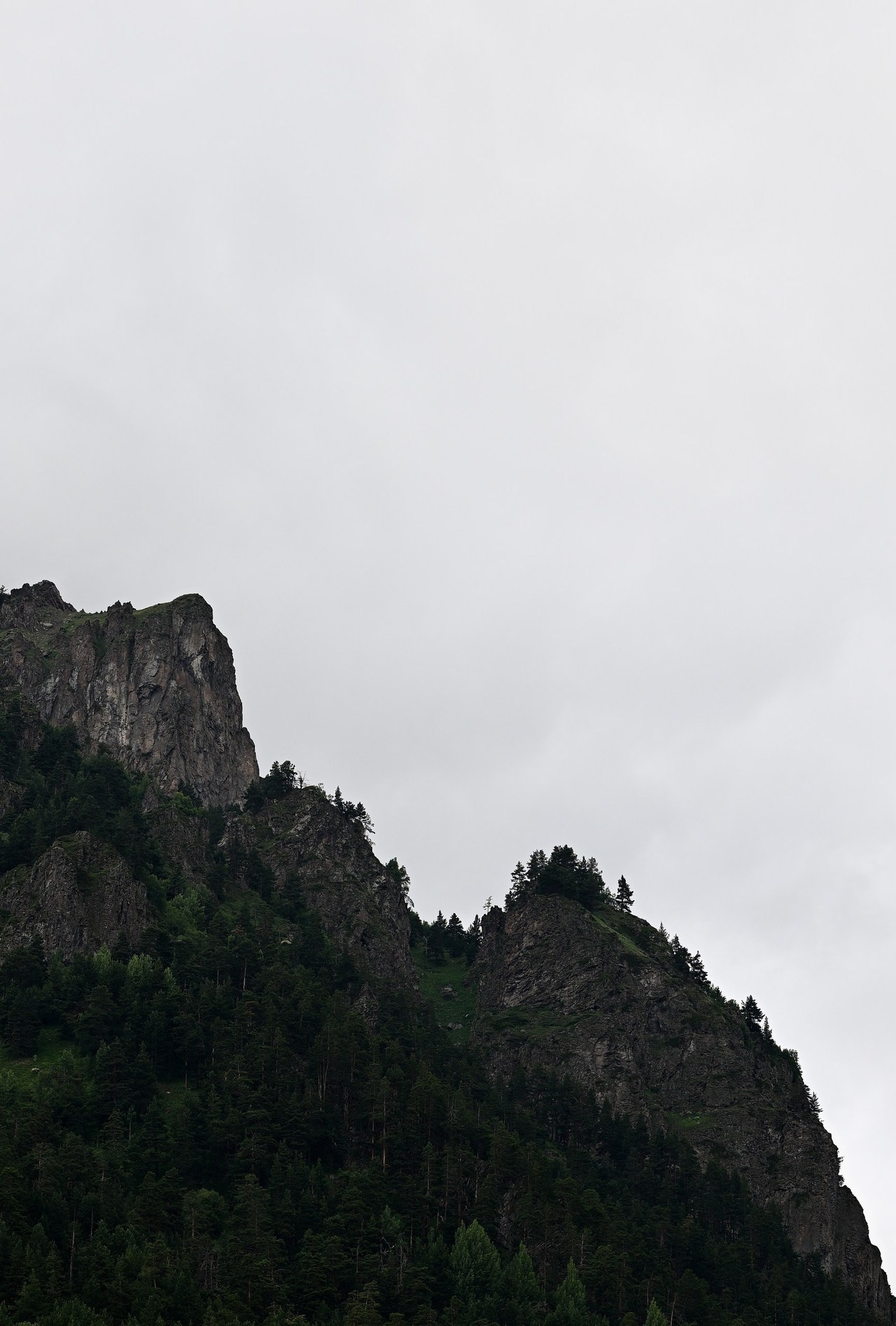 Отзывы. Репортажный фотограф Иван Порошин